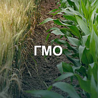 Набір для ПЛР в реальному часі для виявлення ГМО