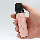 Караоке з 2 мікрофонами + Навушники з вушками Cat VZV-23M / Дитяче міні караоке, фото 7