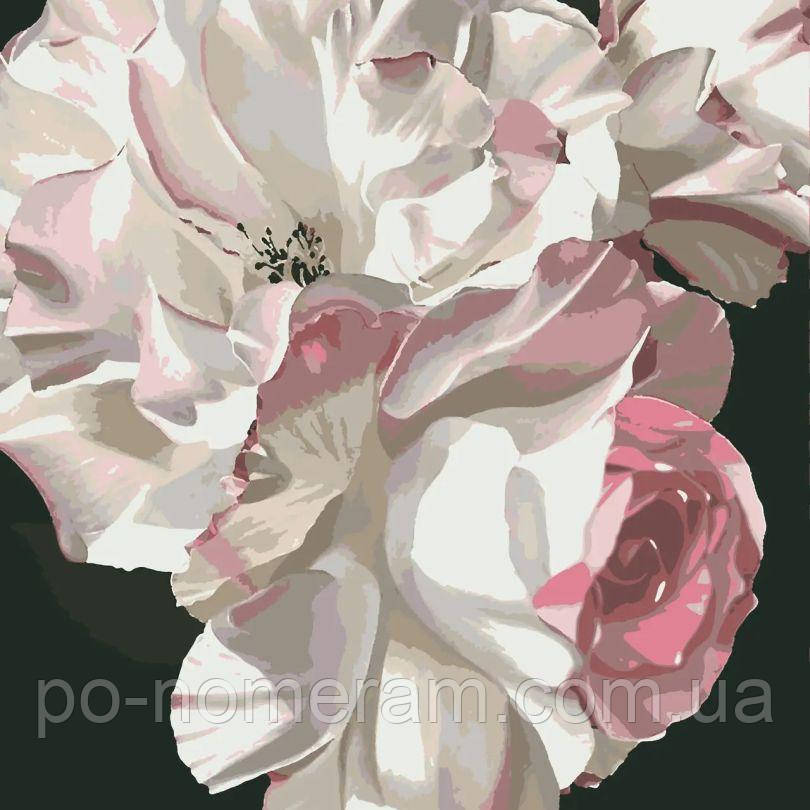 Новинка Розмальовка по номерах Riviera Blanca Літній подарунок (RB-0910) 40 х 40 см, фото 1