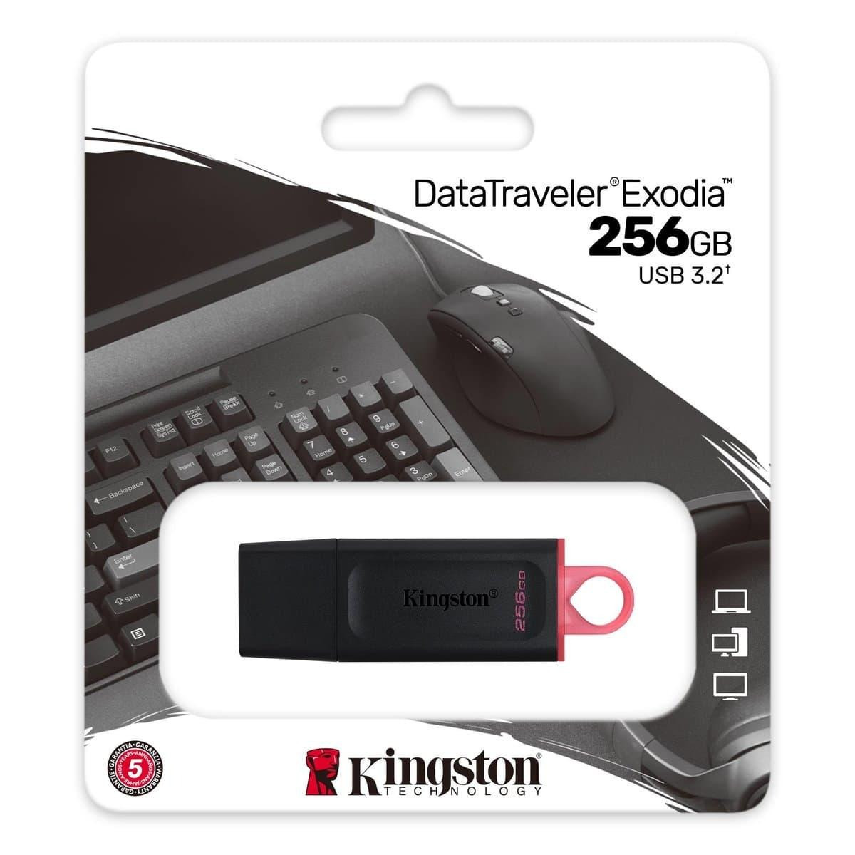 USB флеш накопичувач 256Gb Kingston DataTraveler Exodia USB 3.2, фото 1