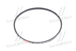 Ремінь ЮМЗ, Д-65 (Rubena) 16х11-1403