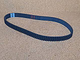 Ремінь ГРМ 1,6 л BYD F3, Бид Ф3, Бід Ф3, фото 5