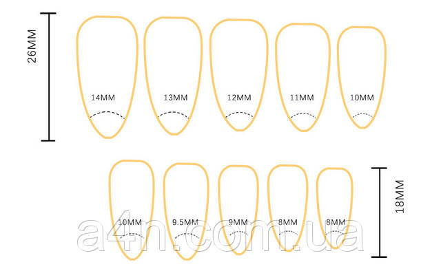 Накладные ногти - Интернет-магазин A4N Размеры накладных ногтей