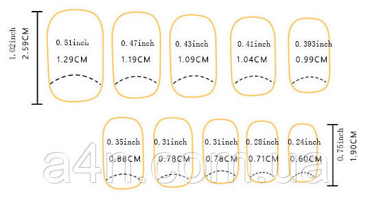 Накладные ногти - Интернет-магазин A4N Размеры накладных ногтей