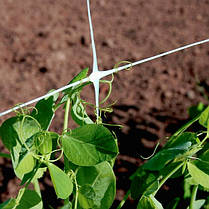 Шпалера сітка для огірків TENAX ОРТІНЕТ 10 FGPO 125х125 мм 1,12х1000 м, фото 2