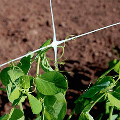 Шпалера сітка для огірків TENAX ОРТІНЕТ 11FG 170х150 мм 1,7х500 м