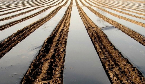 Мульчувальна плівка чорна Sotrafa 30 мкм 1,2х1000 м