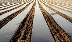 Мульчувальна плівка чорна Sotrafa 25 мкм 1,2х1000 м