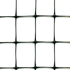 Пластикова сітка TENAX СИНТОФЛЕКС Д 21х34 мм 2х100 м