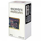 Ecentric Molecule Molecule 01 + Black Tea Perfume Newly унісекс 58 мл, фото 6