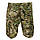 Шорті KOMBAT UK ACU Shorts, Мультики, фото 3