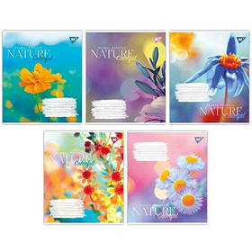 Зошит 96арк клітинка Yes Nature colorful 767172  (5 шт в уп)