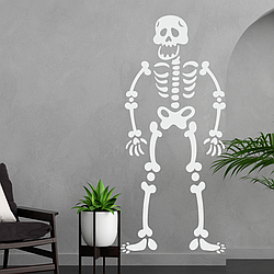Вінілова наклейка Скелет людини 79х165см кістки череп у кабінет Happy Pocket Білий глянсовий HP-091-010GL