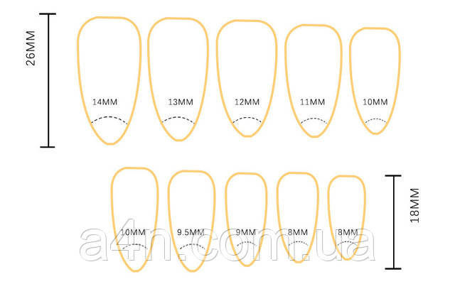 Размеры накладных ногтей