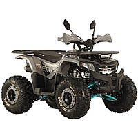 Квадроцикл Spark SP125-8