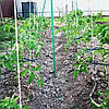 Склопластикові опори для рослин Nano-sk-sk ø 8 мм x 1,5 метра 50 шт, фото 9