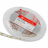 LED-стрічка 10 Вт 12 В 1100 Лм, SMD2835 120 діодів, нейтральний білий 4500 K, серія Shade, гарантія 2 роки SL-1, фото 4