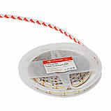 LED-стрічка 18 Вт 24 В SMD2835 240 діодів, холодний білий 6500К, серія Externum IP65, гарантія 3 роки SL-1, фото 4