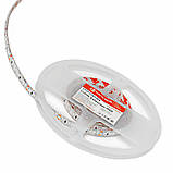 LED-стрічка 12 Вт 24 В SMD2835 120 діодів, червоний, серія Externum IP65, гарантія 3 роки SL-1, фото 4