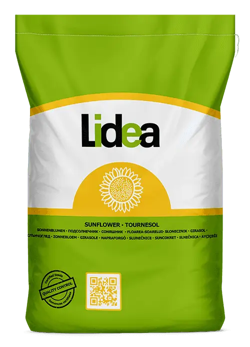 Насіння соняшнику Терраміс Під Євро-Лайтинг, фото 1