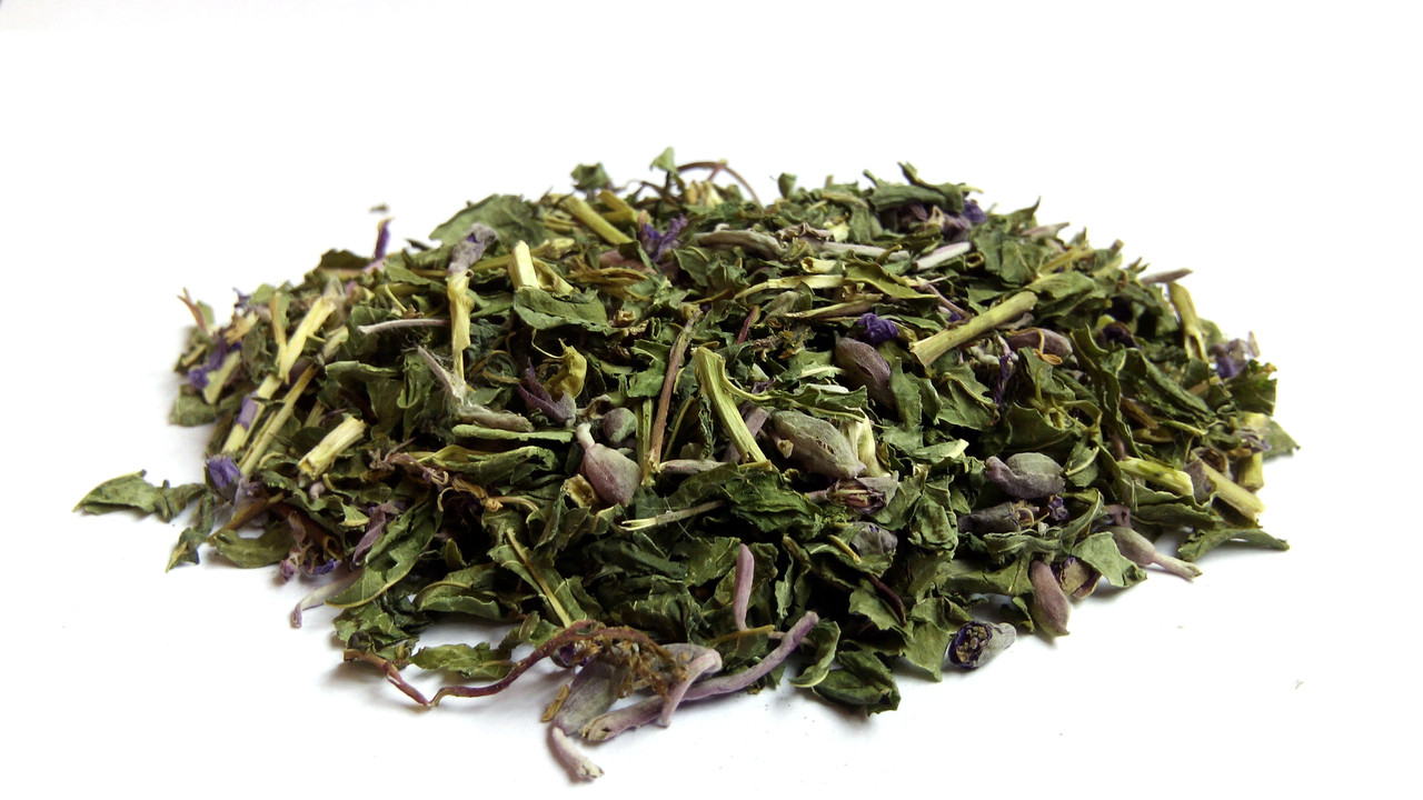 Іван чай трава, фото 1