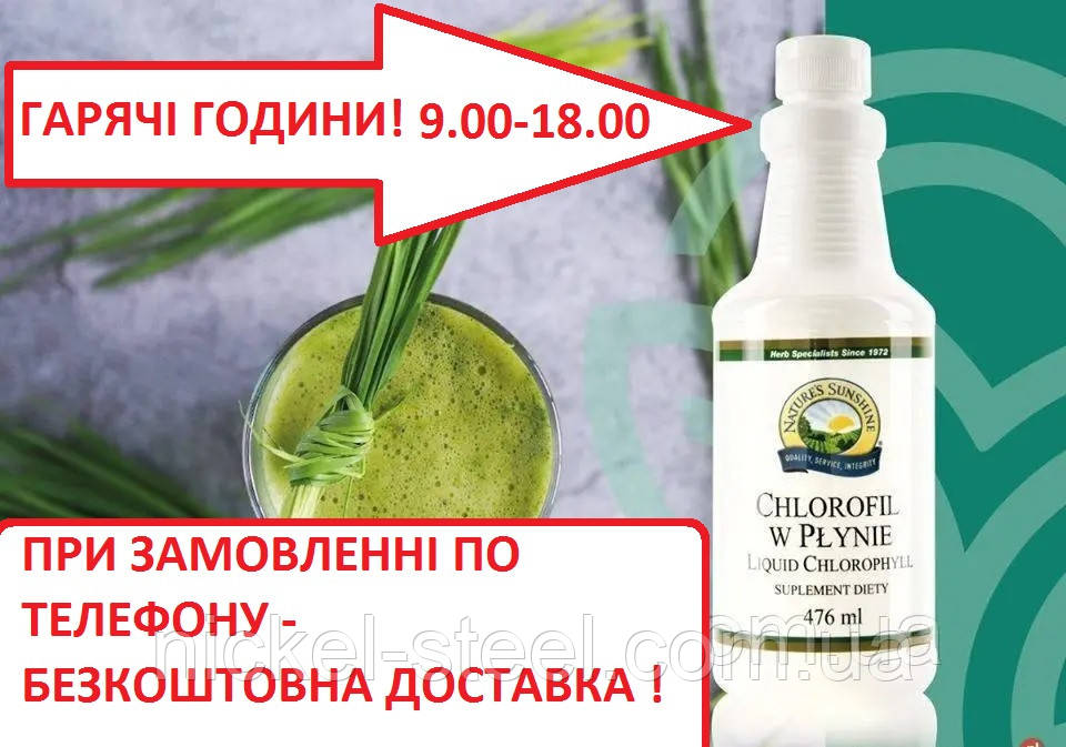 Хлорофіл рідкий NSP 476 мл Chlorophyll Liquid NSP