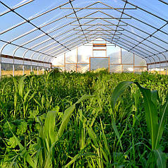 Плівка для теплиць Ginegar SunSaver Clear C-717 UV+IR+AD-AF+LD 150 мкм 12х40 м