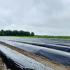 Мульчувальна плівка чорна Ginegar CAST C-801 25 мкм 1,2х1000 м