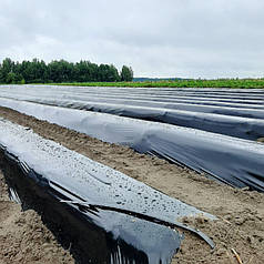 Мульчувальна плівка чорна Ginegar CAST C-801 30 мкм 1,4х1000 м