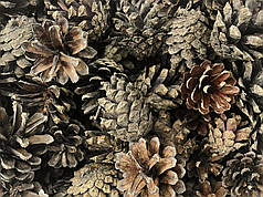 Соснові шишки 50 л (фракція 3-6 см)