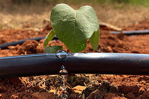 Емітерна крапельна стрічка Sunstream 6 mil 1,6 л/год 30 см 2700 м, фото 2