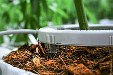 Набір для поливання рослин у контейнерах Netafim NetBow 12 см, фото 2