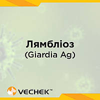 Експрес-тест на лямбліоз (Giardia Ag), VIGA-602
