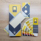 Фарба порошкова слонова кістка 1015 матова для металевих меблів, дверей, Профнастілл, і кріплення., фото 8