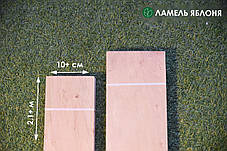 Ламель яблуня