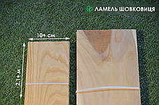 Ламель Шовковиця