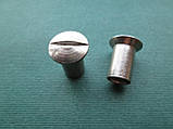 Втулка з напівкруглою головою, прямий шліц, нержавіюча сталь., фото 3
