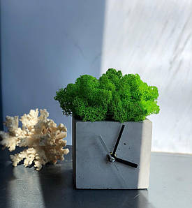 Годинник настільний з мохом (бетонний).Бетонний декор.Годинник з бетону