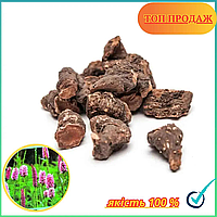 Ракова шийка (Гірчак Зміїний) корінь 2025р. (1кг)