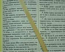 Біблія сучасний переклад Турконяка 17*24 см повна Біблія 77 книг бордового кольору з хрестом, фото 5