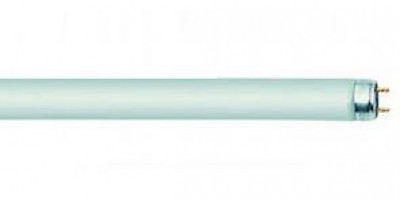 Лампа PHILIPS TLD-18w/17 green T8