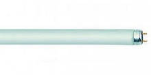 Лампа PHILIPS TLD-18w/17 green T8