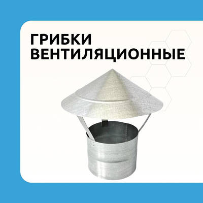 Грибок на трубу вентиляції 