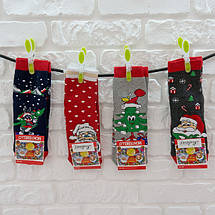 Шкарпетки та гольфи