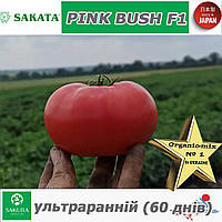 Томат ультраранній рожевий ПІНК БУШ F1 / PINK BUSH F1, ТМ Sakata (Японія)