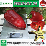 Перець ультраранній ФЕРРАРІ F1 / FERRARI F1 ТМ Sakata (Японія), фото 3