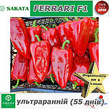 Перець ультраранній ФЕРРАРІ F1 / FERRARI F1 ТМ Sakata (Японія), фото 5