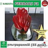 Перець ультраранній ФЕРРАРІ F1 / FERRARI F1 ТМ Sakata (Японія), фото 7