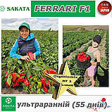 Перець ультраранній ФЕРРАРІ F1 / FERRARI F1 ТМ Sakata (Японія), фото 8