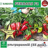 Перець ультраранній ФЕРРАРІ F1 / FERRARI F1 ТМ Sakata (Японія), фото 11